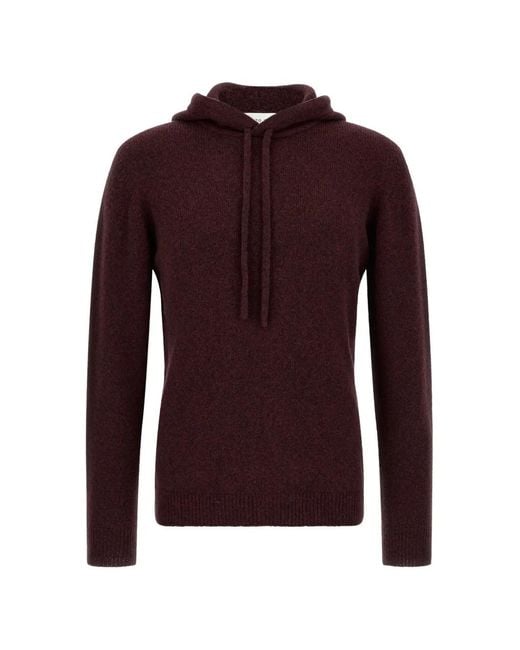 Roberto Collina Purple Drawstring Hoodie for men