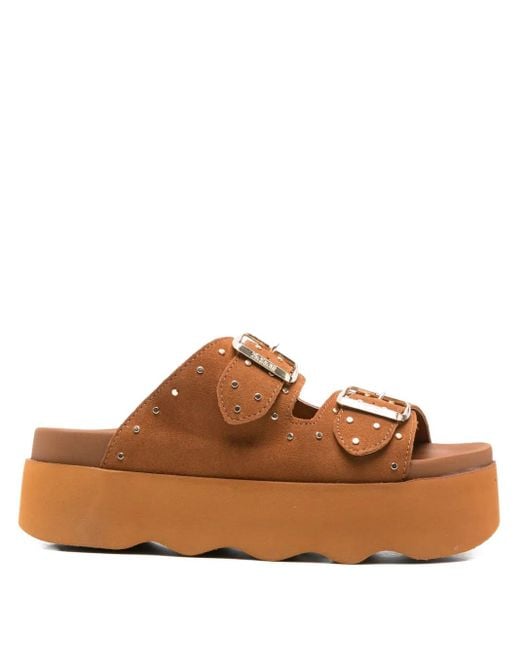 Scholl Brown 40Mm Heather Studded Sandals