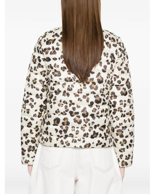 Marella White Leopard-Print Puffer Jacket