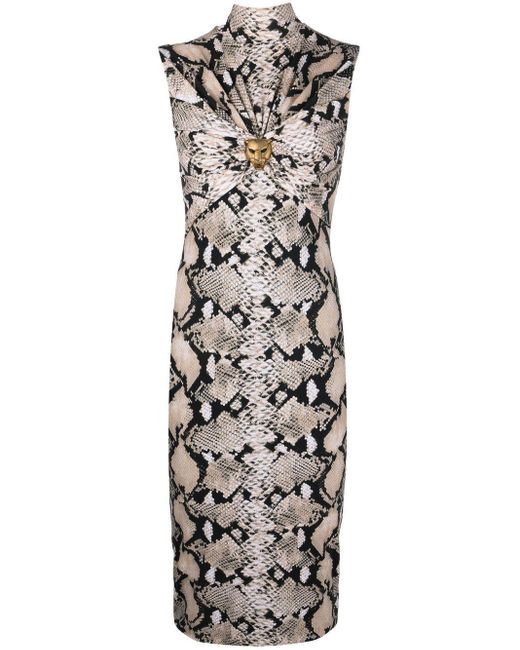 Roberto Cavalli Natural Snake-print Fitted Dress