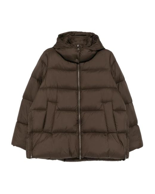 JNBY Brown A-Type Down Jacket