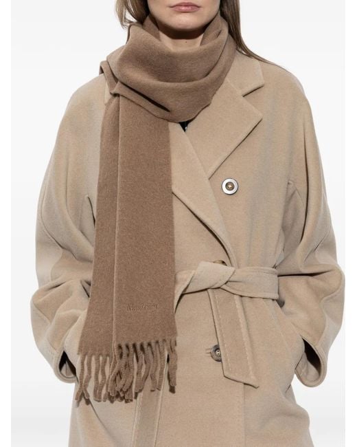 Sciarpa Fragore Con Frange di Max Mara in Brown