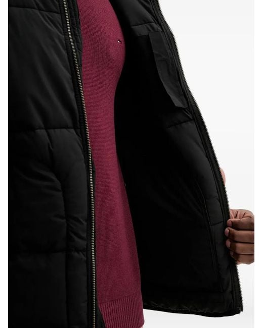 Dickies Summerdale Gewatteerd Jack in het Black voor heren