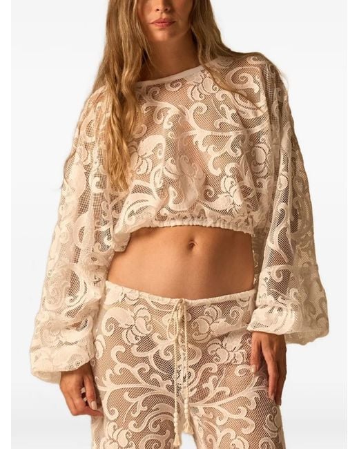JBQ Brown Elise Cropped Blouse