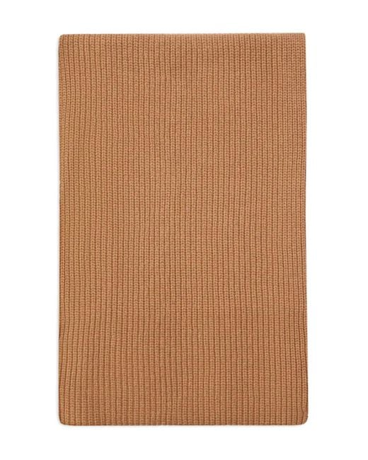 Pinko Brown Slovenia