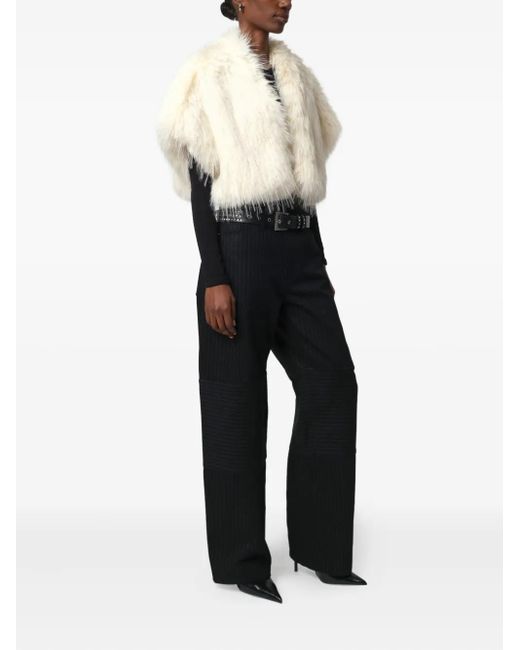 Apparis Natural Devin Shrug