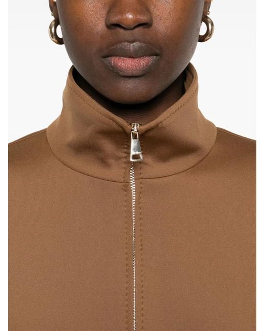 Max Mara Brown Plava