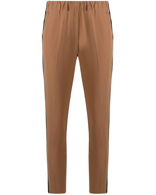 Blanca Vita Broek Met Zijstreep in het Brown