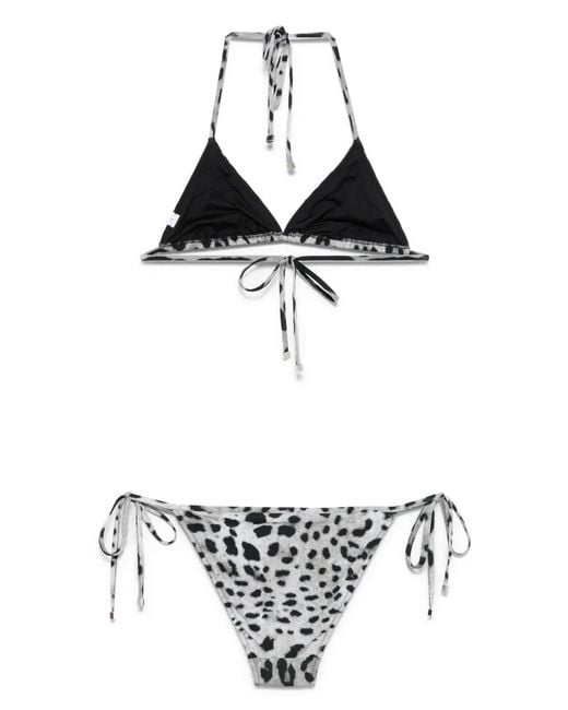 Dolce & Gabbana White Leopard-Print Bikini