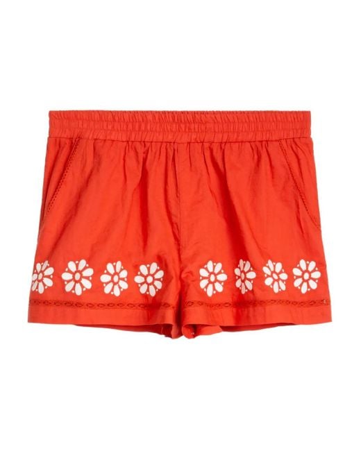 Ciao Lucia Samaya Embroidered Shorts