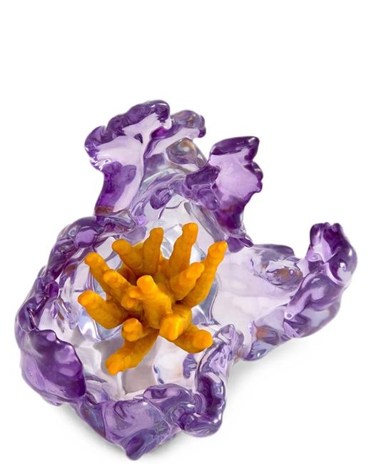 La Manso Purple X Tetier Parrot Ring