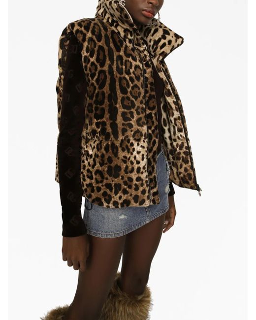 Dolce & Gabbana Brown Sleeveless Leopard-Print Jacket With Logo Tag