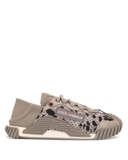 Dolce & Gabbana Gray Ns1 Low Top Sorrento Sneakers In Leopard-print