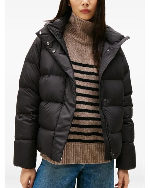 Tommy Hilfiger Black Down Hooded Puffer Jacket