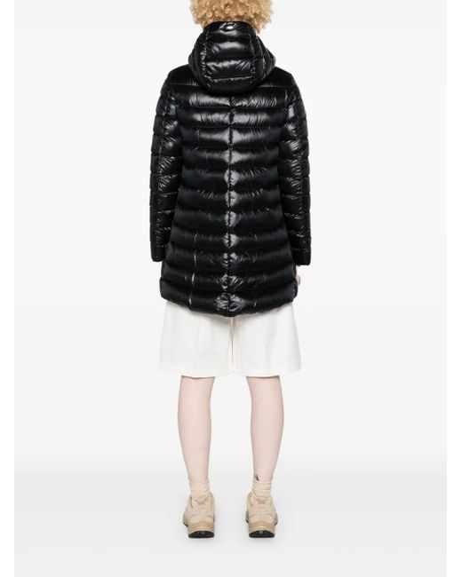 Herno Black Coats