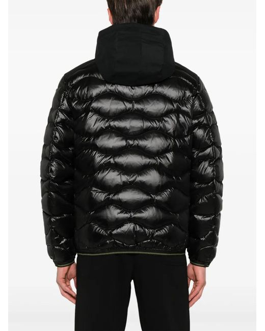 Blauer Black Padded Hooded Jacket for men