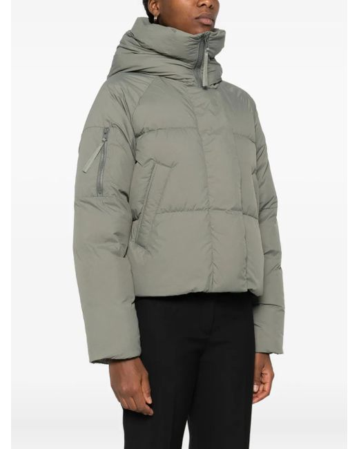 Canada Goose Gray Chilliwack Padded Puffer Jacket