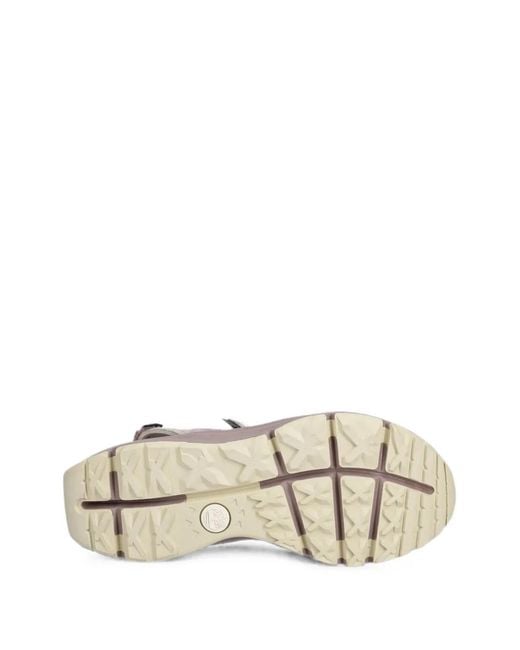 Timberland Purple Dune Backstrap Touch-Strap Sandals