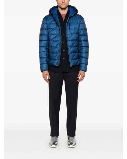 Boss Blue Padded Jacket for men