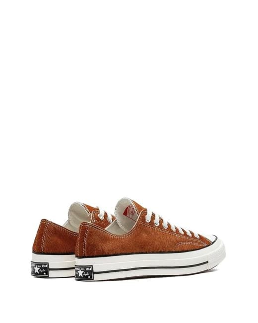 Converse Brown Chuck 70 Sneakers for men