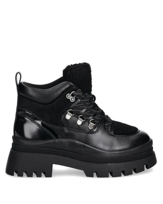 ALDO Cozettia ブーツ Black