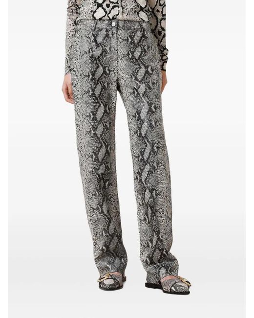 Pantaloni Con Stampa di AllSaints in Gray