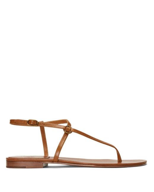 Polo Ralph Lauren Brown Buckle-fastened Leather Sandals