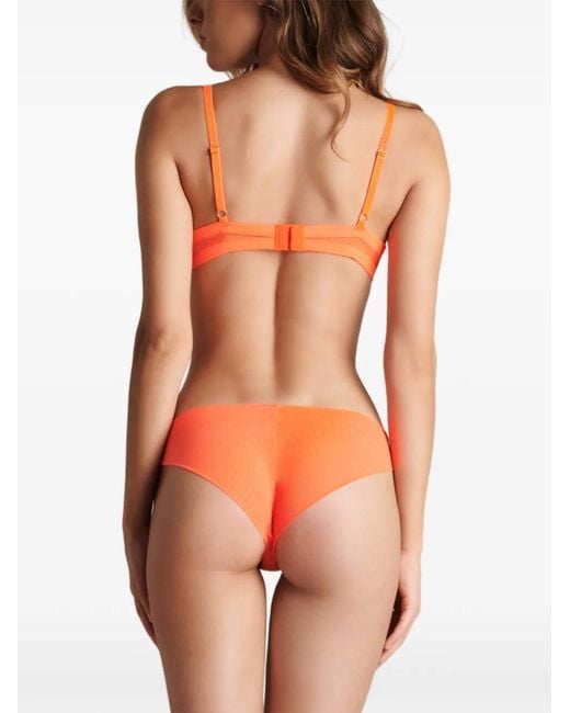 Maison Close Orange Corps À Corps Neon Briefs