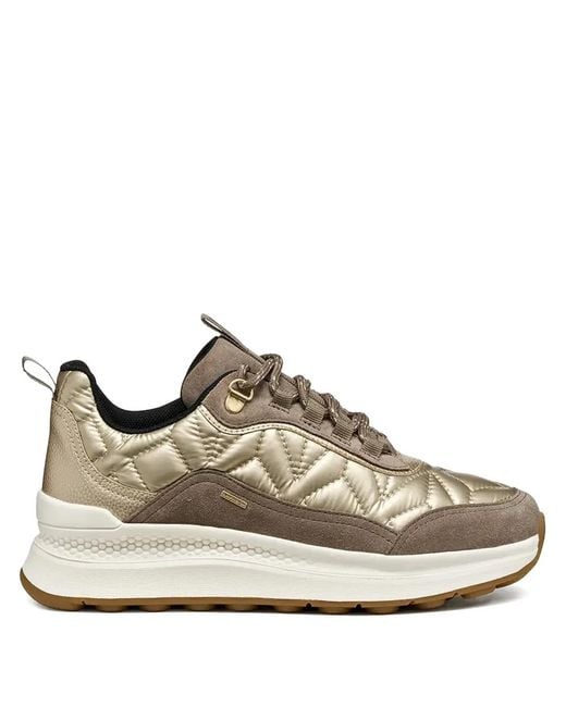 Geox Brown Quilted Sneakers
