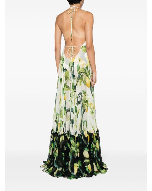 Roberto Cavalli Green Floral-print Silk Dress