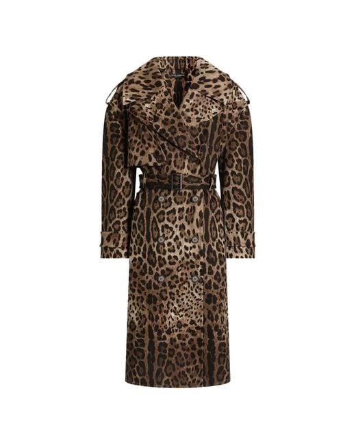 Dolce & Gabbana Multicolor Manteau De Perçage En Coton Imprimé Leo À Double Boutonnage