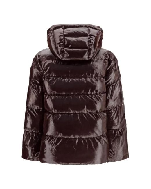 Pinko Brown Eleodoro Hooded Down Jacket
