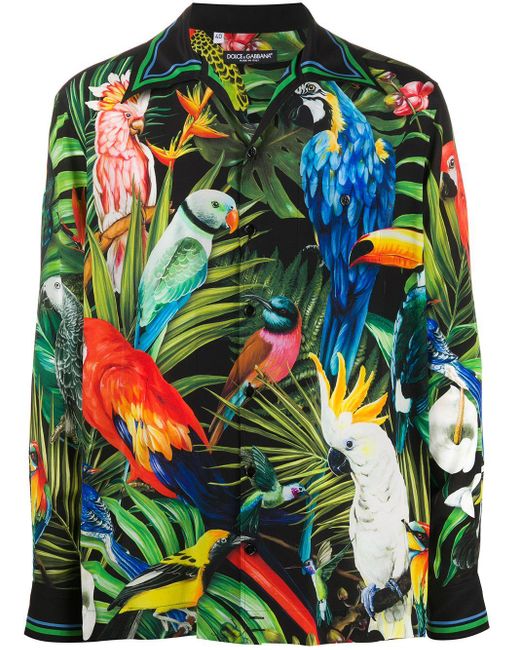 Dolce & Gabbana Hawaiihemd mit Papagei-Print in Black für Herren