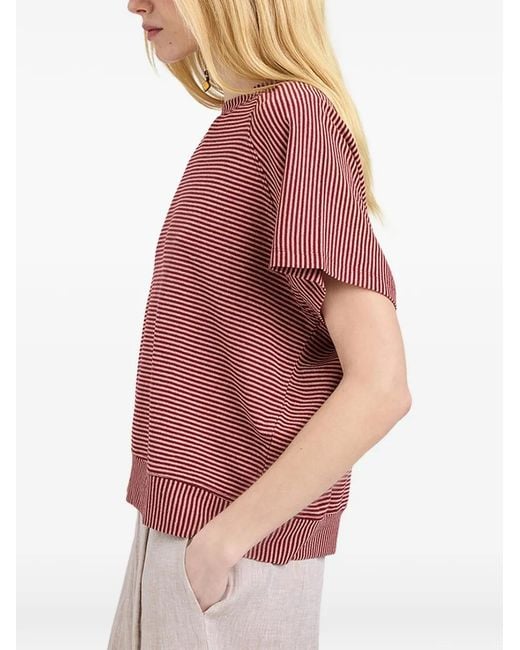 Momoní Pink T-Shirt Rayé Nashoba À Manches Raglan