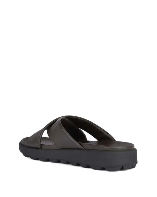 Geox Brown Leather Slides for men