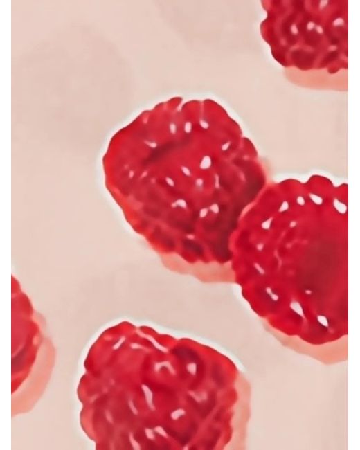 Stella McCartney Red Raspberry-Print Ruched Maxi Dress