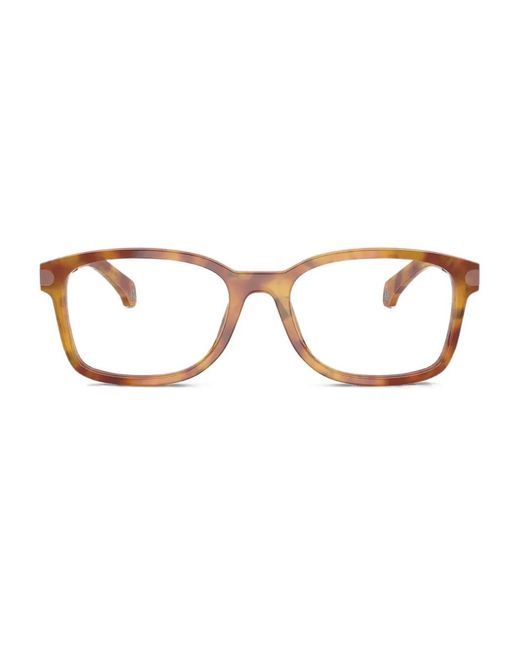 Moncler Brown Tortoiseshell Square Glasses