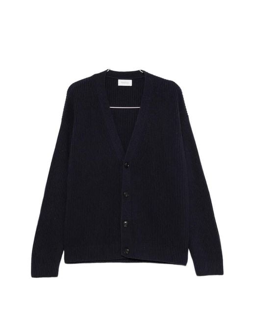 Diana Studio Blue Ribbed-Knit V-Neck Cardigan for men
