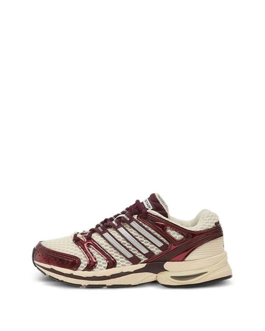 Adidas Brown Adistar Control 5 Mesh Sneakers