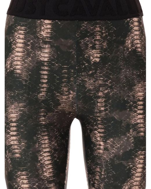 Just Cavalli Black Snakeskin-Print Leggings