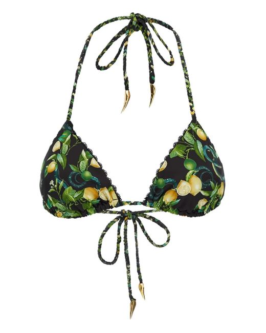Roberto Cavalli Green Lemon-Print Triangle Bikini Top