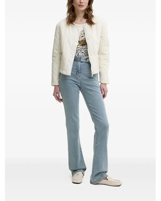Morgan Blue Braid Flared Jeans