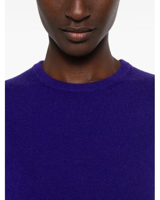 Bompard Purple Crew-Neck Cashmere Sweater