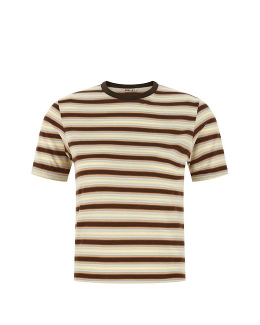 Auralee Natural Gradient Striped T-Shirt