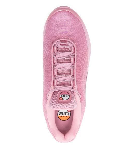 Nike Pink Air Max Dn Sneakers