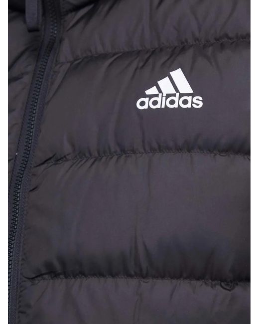 Adidas Blue Three-Stripe Padded Vest for men