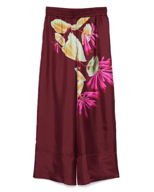 Pierre Louis Mascia Broek Met Bloemenprint in het Purple
