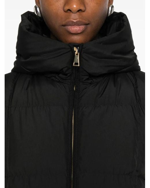 Moncler Darbon Gewatteerd Jack Met Capuchon in het Black