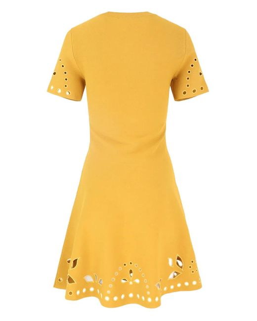 Ulla Johnson Yellow Eyelet-Embellished Mini Dress