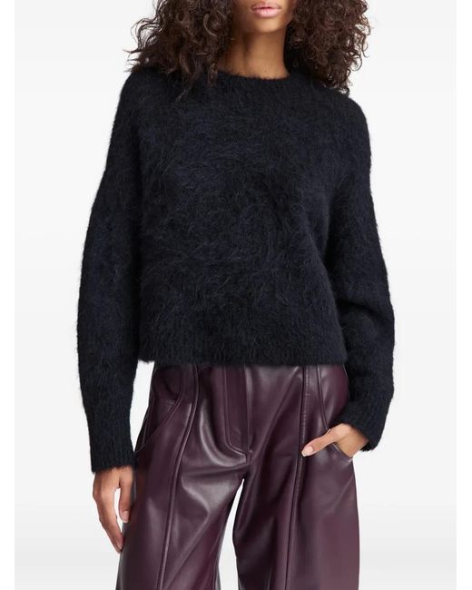 16Arlington Sephia Wollen Trui in het Black